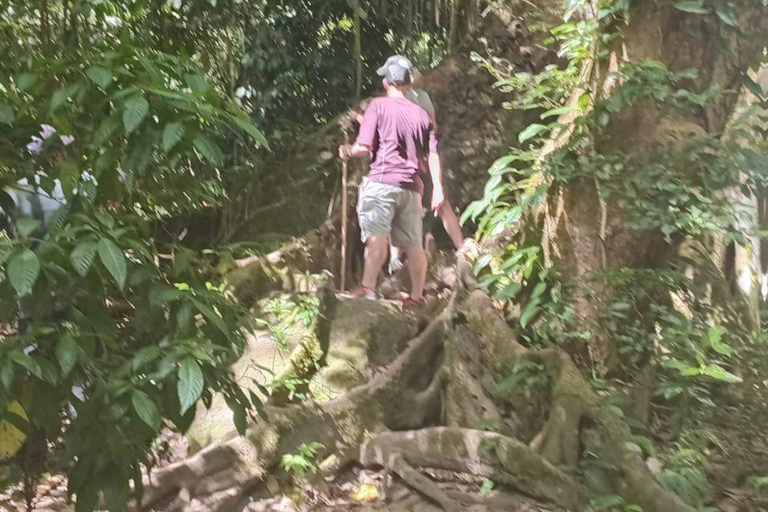 St Kitts: Panaramic Rainforests and Beach Excursions