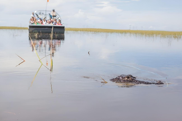 Miami: Everglades roofless Airboat Tour with Hotel Pickup Everglades - Downtown Miami pickup