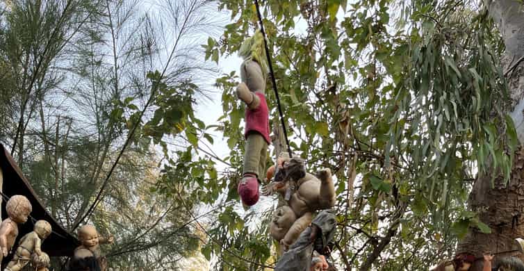 Xochimilco : Island of the dolls, tequila and mezcal CDMX photo 6