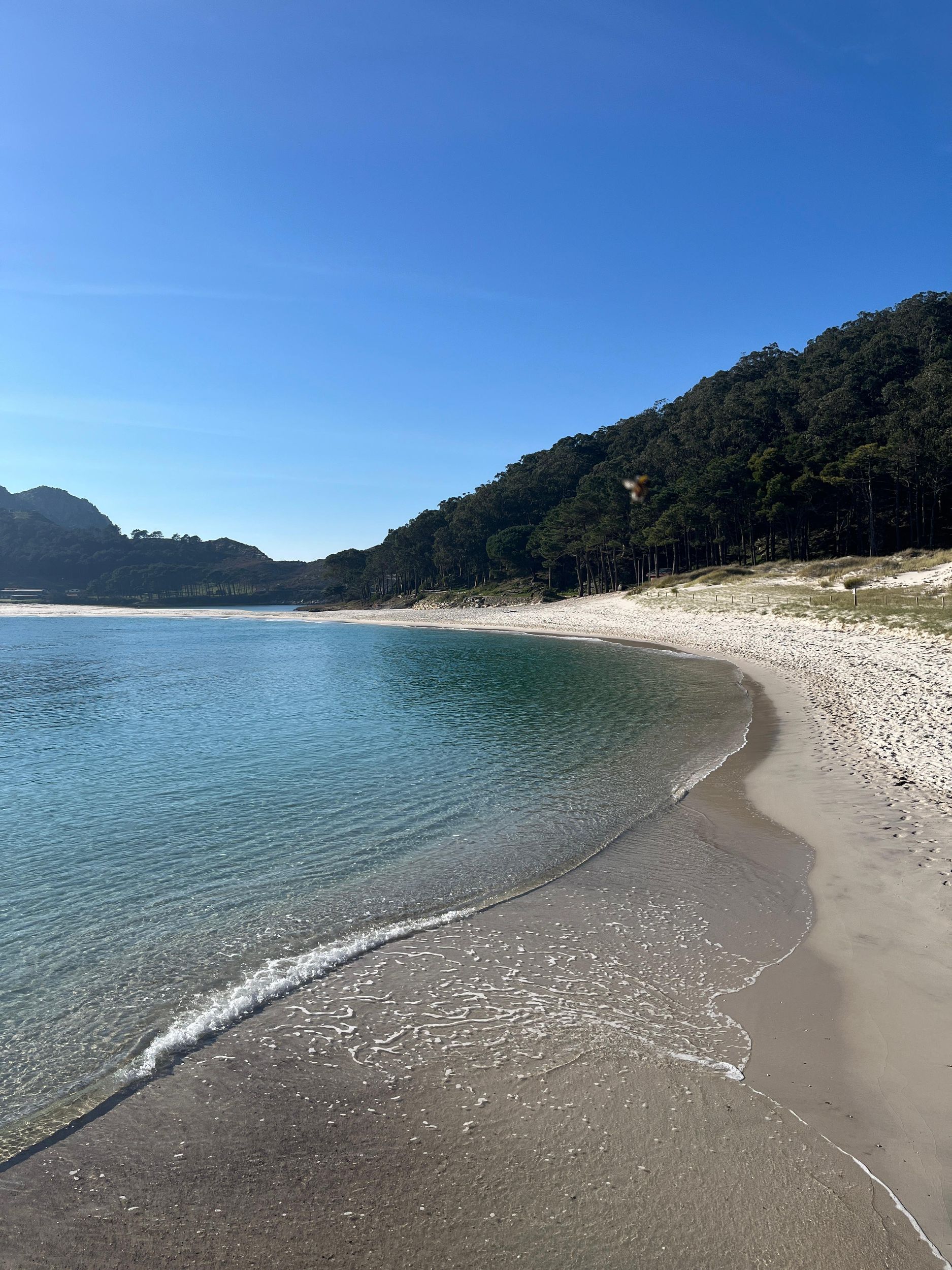 Cíes-Inseln: Ausflug zu den Cíes-Inseln ab Vigo