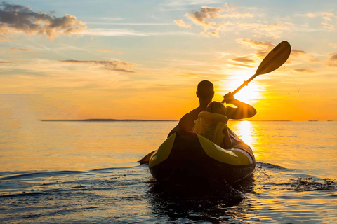 Mirissa: Blue Whale Watching & River Kayaking Combo Tour