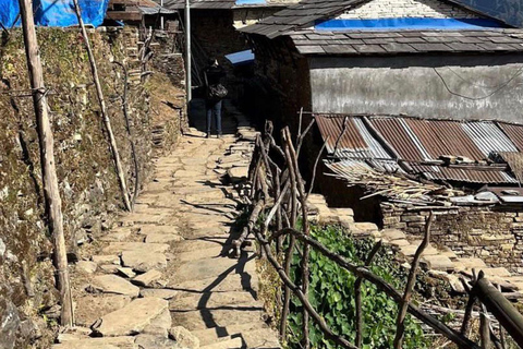 Kathmandu: 4-Day Viral Village Ghandruk Tour with Guide