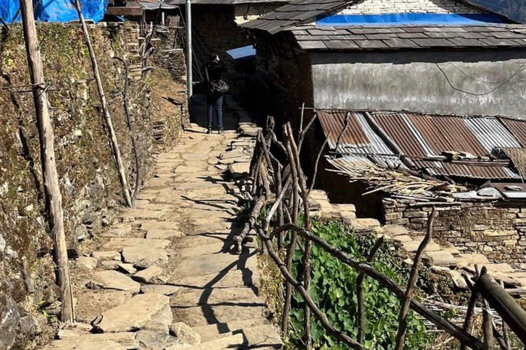 Kathmandu: 4-Day Viral Village Ghandruk Tour with Guide