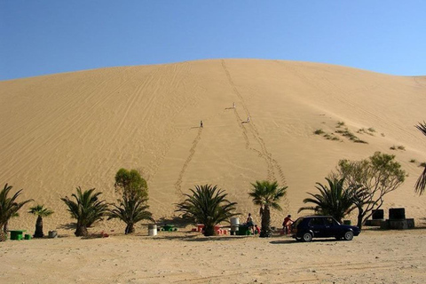 Tour particular dos destaques de Walvis Bay