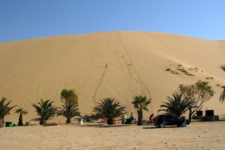 Tour privado por lo más destacado de Walvis Bay