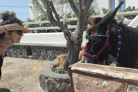 Santorini: Destaques imperdíveis - passeio turístico particularPasseio de um dia