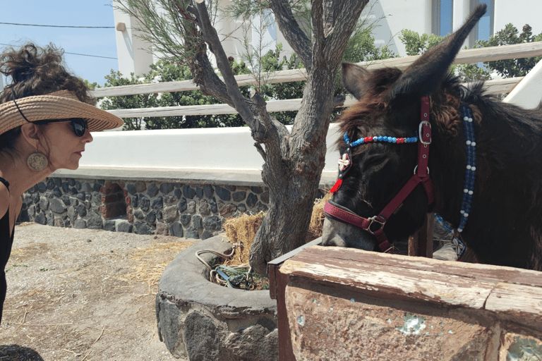 Santorini: Prywatna wycieczka krajoznawcza minibusemSantorini: Panoramiczna wycieczka krajoznawcza minibusem