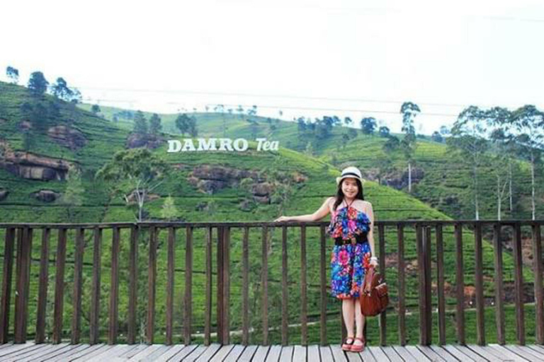Kandy To Nanuoya Drop Tour & Morning Ella Train Journey Kandy To Nanuoya Drop Tour & Morning Ella Train Journey Car*