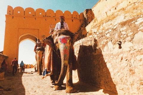 Jaipur Private Day TourWycieczka z przewodnikiem i biletami na zabytki oraz lunch