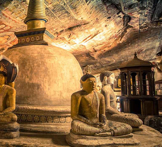 Day Trips and Tours from Dambulla