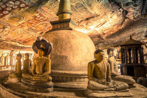 Viagem de 1 dia ao Rochedo Sigiriya e aos Templos de Dambulla