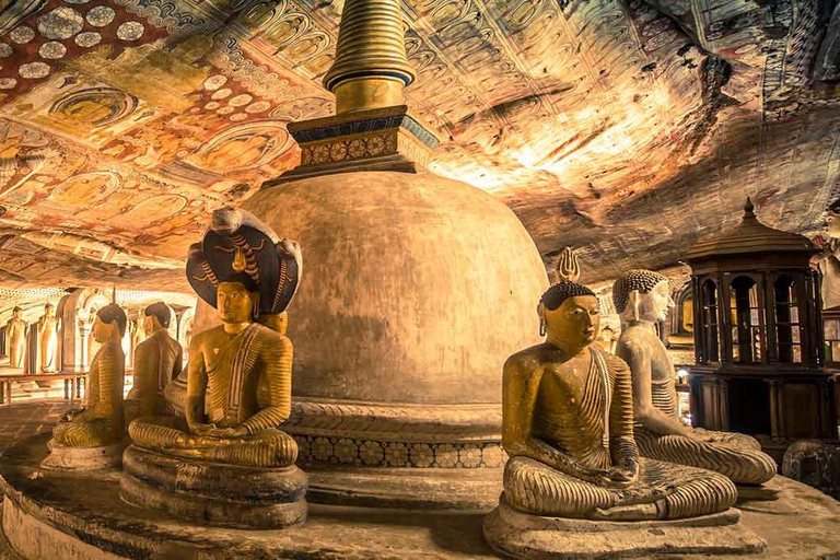 Sigiriya Dambulla Minneriya Safari Excursão de 1 dia em particularRecolha nos hotéis de Kandy ou Matale