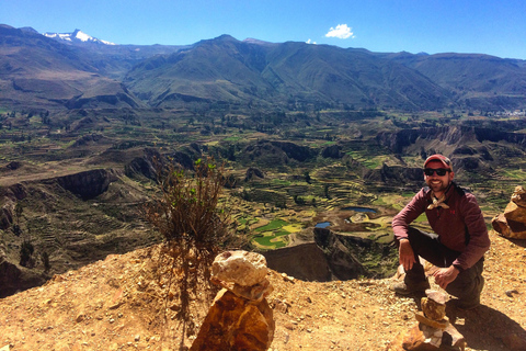 Da Arequipa: Tour guidato di un giorno intero del Canyon del Colca con pasti