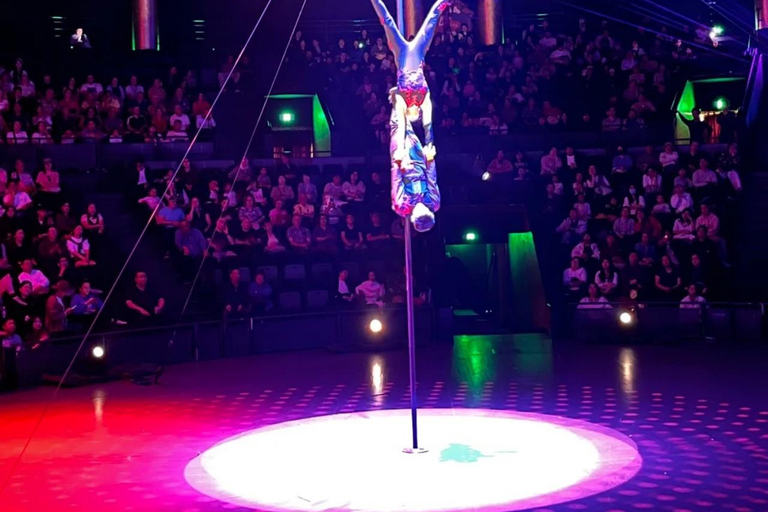 Shanghai ERA2 – Intersection of Time Acrobatic Show Ticket Blue Zone