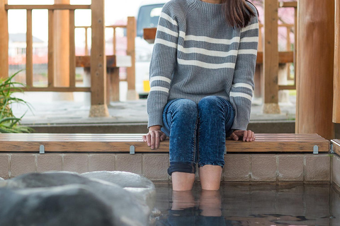 Nagano Tokyo: Snow Monkey Private Day Tour Hotel Pick & Drop Snow Monkey Private Day Tour Hotel Pick & Drop Off In Crown