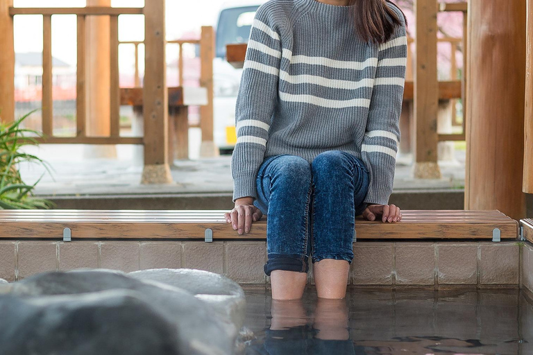 Nagano Tokyo: Snow Monkey Private Day Tour Hotel Pick & Drop Snow Monkey Private Day Tour Hotel Pick & Drop Off In Crown