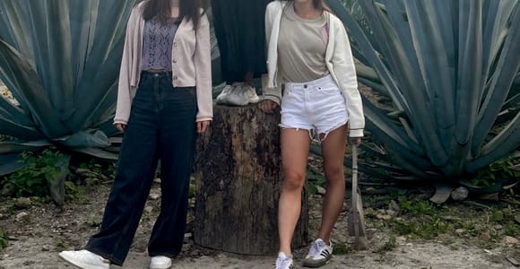 Small-group sightseeing tour: Hierve el Agua, mezcal, textiles, and the Tule Tree