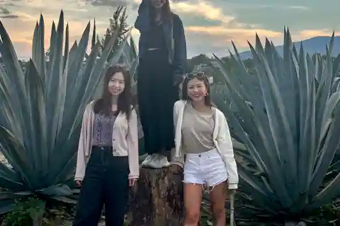 Tour grupos pequeños: Hierve el Agua, Mezcal, Teotitlán, Mitla y Tule