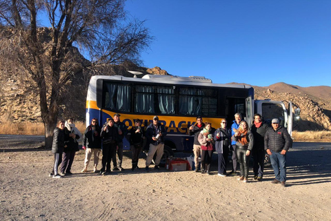 Salta: Movitren: Train to the clouds with transfer in Movitrack MOVITREN: Train + Transfer