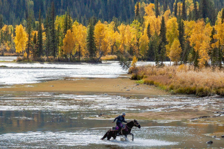 Ulaanbaatar: Guided City Tour with Private Transport