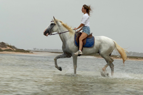 Djerba: Individual Horse Riding in the Blue Lagoon.