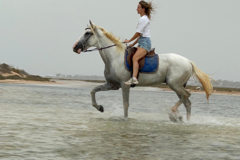 Djerba: Individual Horse Riding in the Blue Lagoon.