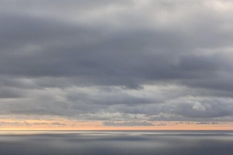 From Livorno: Accessible Cinque Terre and Pisa Private Trip