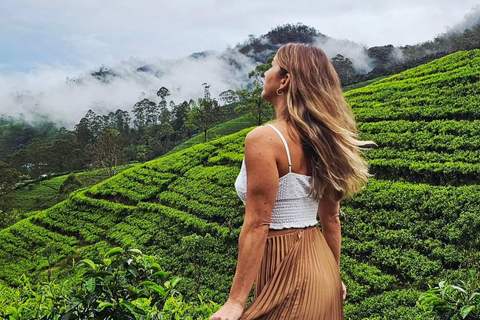 Ella To Kandy Private Transfer With Train Ride Experience