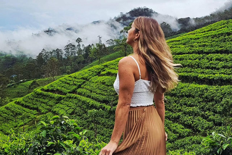 Ella To Kandy Private Transfer With Train Ride Experience