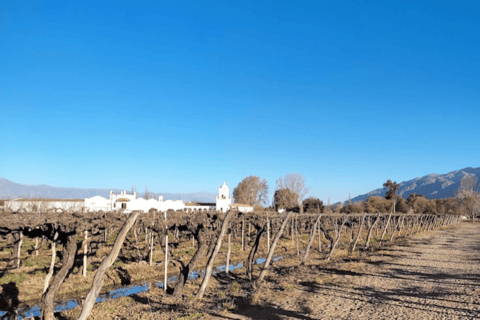 Privado Salta a Mendoza, conduciendo por la Ruta N°40Ruta del Vino Premium