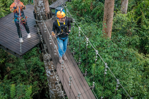 Angkor Zipline- och tempeltur med solnedgångDelning av turer