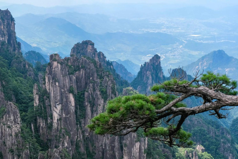 Da Shanghai: gita di 1 giorno privata a Huangshan in treno ad alta velocitàDa Shanghai: gita di 1 giorno a Huangshan in treno ad alta velocità