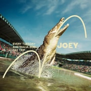 Noosa: Noosa Day Tour with Australia Zoo Pass