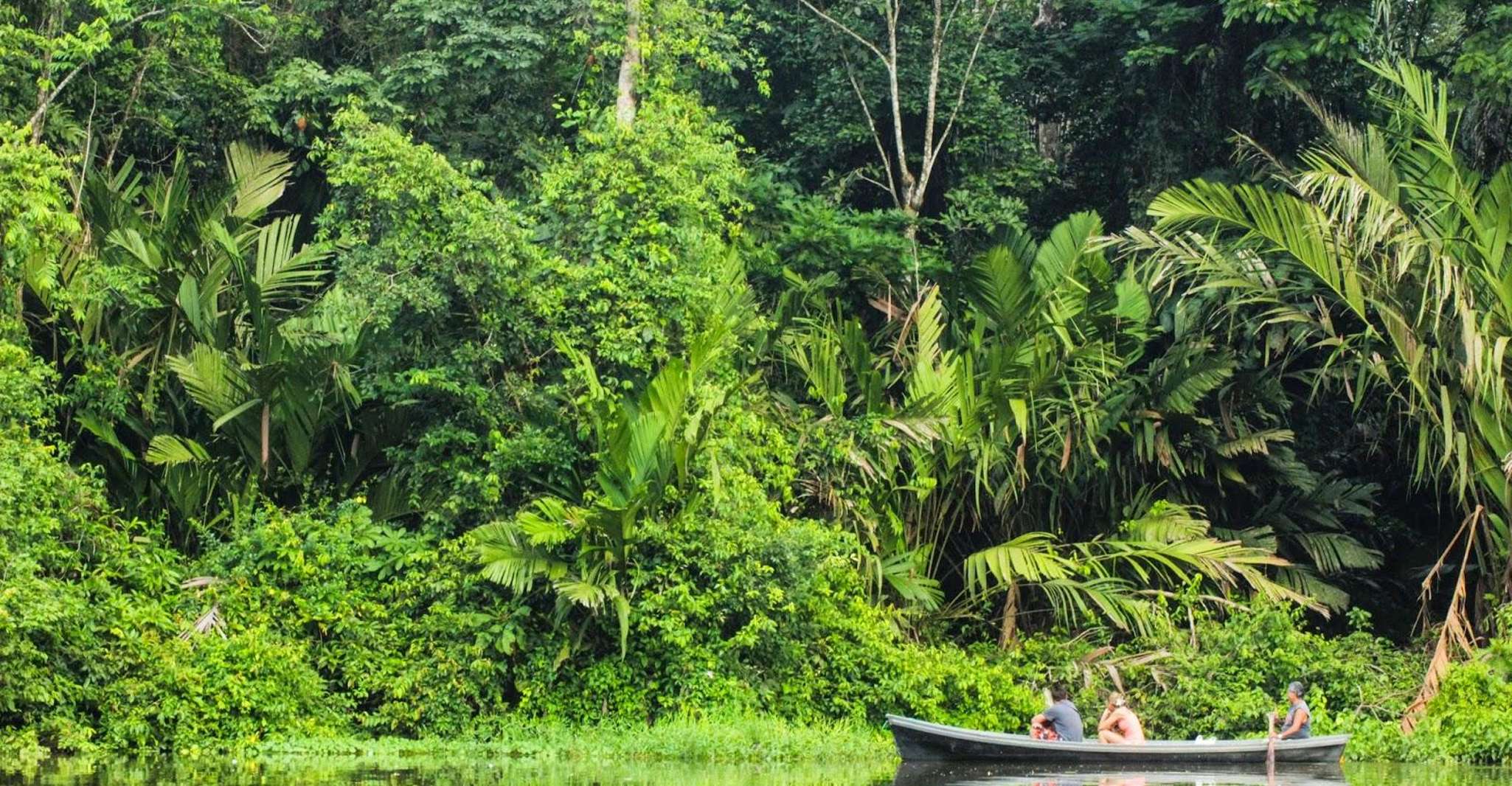 Kanalführung im Nationalpark Tortuguero - Hizvo