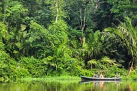 Kanalführung im Nationalpark Tortuguero - Hizvo