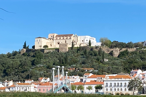 Del Algarve a Lisboa; Traslado guiado con extra ¡Guau!