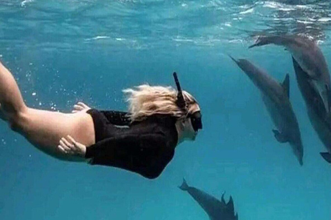 Mnemba Island: Delfinskådning och snorkling båtturMnemba Island: Delfinskådning och snorkling med båt