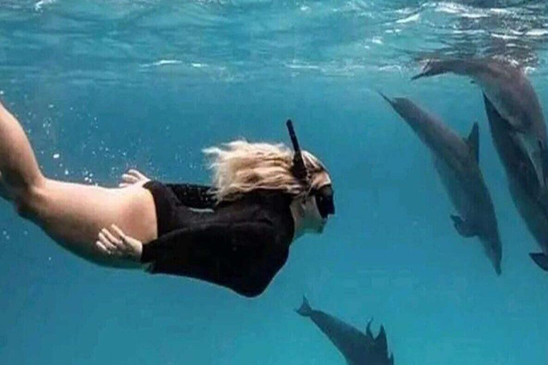 Mnemba Island: Delfinskådning och snorkling båtturMnemba Island: Delfinskådning och snorkling med båt