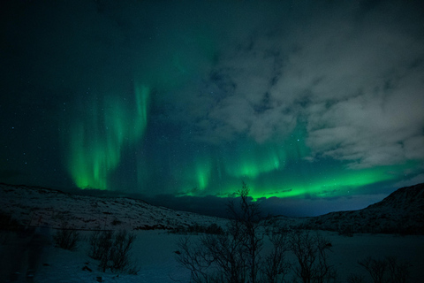 Tromsø: Northern Lights Tour with Local guide &amp; Local Food