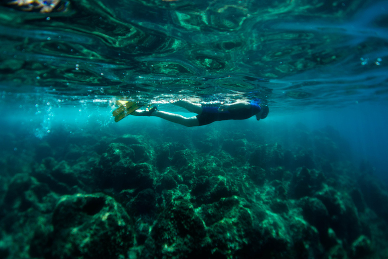 Nice: Snorkeling trip by boat, Mala Grotto, Villefranche harbor