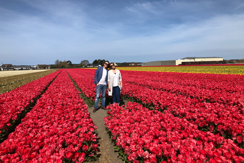 Keukenhof, fazenda de tulipas, campos de flores e Delft Blue