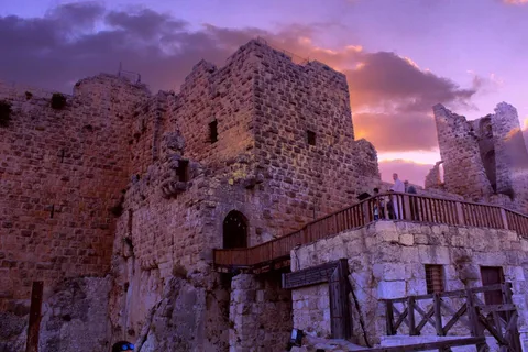 Da Amman: Jerash, funivia di Ajloun, castello di Ajloun, riserva