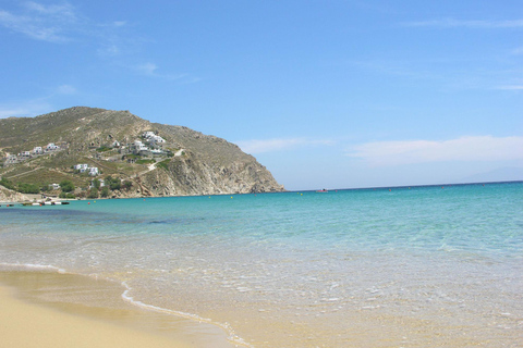 Visite de luxe de Mykonos pour les croisiéristes