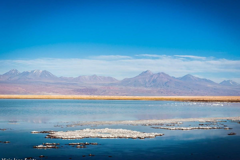 Desierto de Atacama: Refrescante Flotación en Laguna Cejar y Puesta de Sol