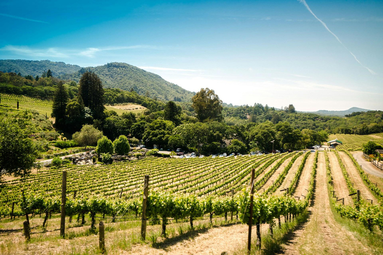 From Tarragona: 4x4 Winery Visit + Lunch + Hotel Pickup