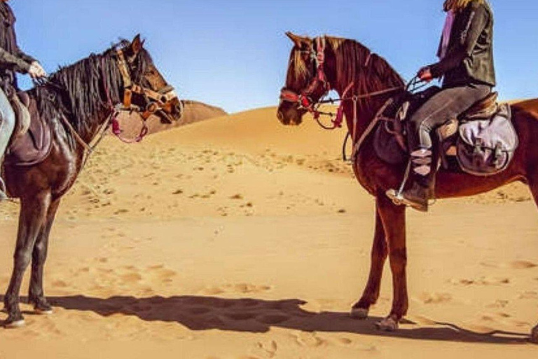 جولة الدوحة: جولة صحراوية بصحبة مرشد سياحي مع حصان عربي