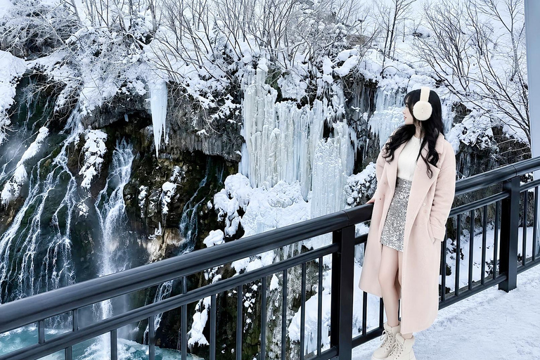 Sapporo: Asahiyama Zoo, Blue Pond & Chiyoda Farm Day Tour Private Sightseeing Tours