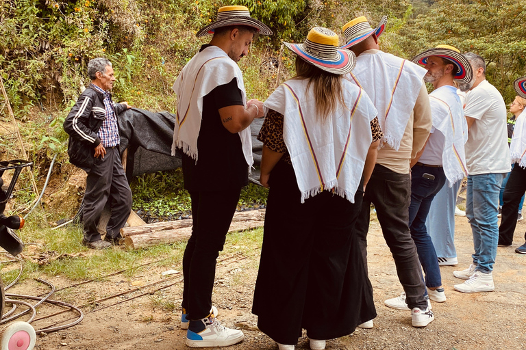 The Incredible Coffee Experience: Secrets of Medellín The Incredible Coffee Experience: Secrets of Medellin