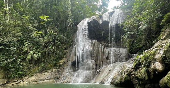 VIP Private Rainforest & Waterfall Adventure in Puerto Rico