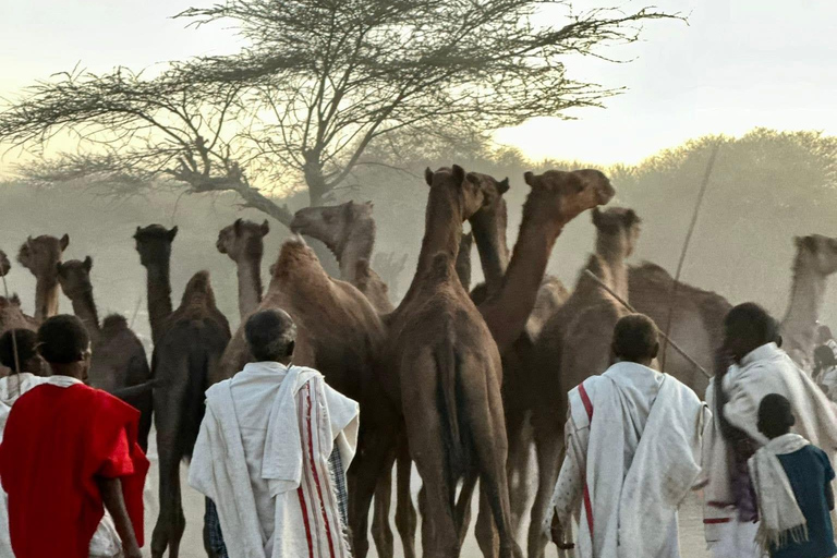 Addis Ababa: 6-Day Bale Mountains Guided Tour with Meals